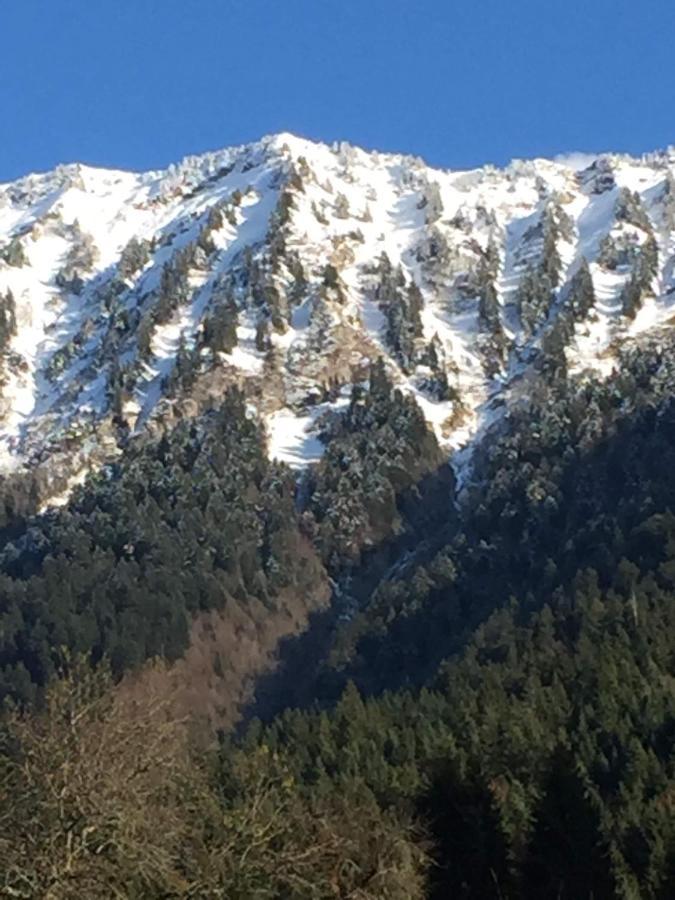 Au Refuge De Blanche Bed and breakfast Seythenex